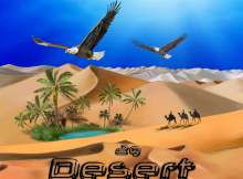 Räuchermischung Desert 2g